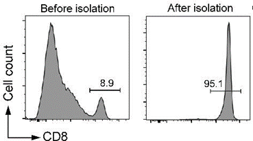 beaver1743648263.7962730.png Laboratory BeaverBeads Mouse CD8 Cell Isolation Kit With CE Certification