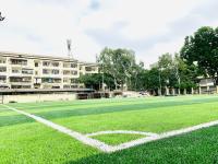 herbe de tapis synthétique d'herbe de 65mm Cesped du football de gazon de Synthet du football artificiel de gazon