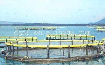 4sq. M To 200sq. M Circular Floating Fish Cage Diameter 6m To 90m