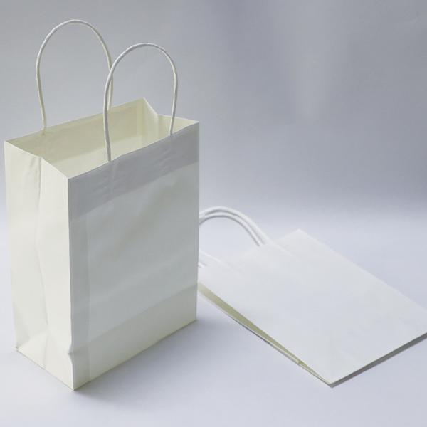 5kg Printed Paper Carrier Bags