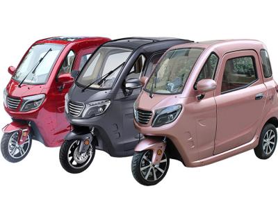 1500W EEC/COC Certificate 3 Wheel Cabin Trike OEM Color ABS Hnad Brake