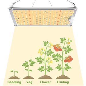 Sunlike Full Spectrum 240w Led Panel Grow Light For Hydroponic Indoor