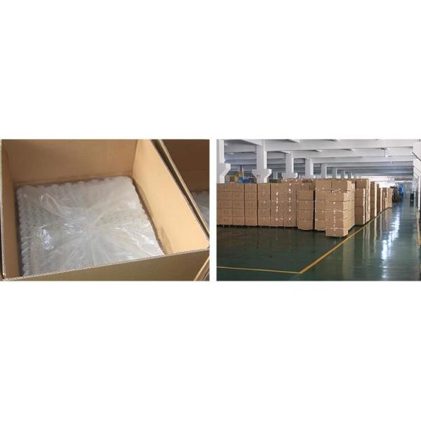 10g Clear Squeezable Pharmaceutical Tube Packaging For Lincomycin Jelly ISO9001