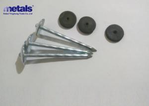 Metal Electro Galvanized Nails 1.25" Roofing Nails For Building And Resident