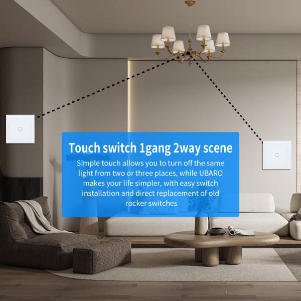 UBARO Grey Dual Touch Switch Manual Touch 2 Gang 2 Way Smart Light Switch Live Wire Control 2000W/gang