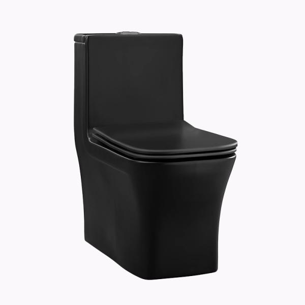 Egg Shape Bathroom Sanitary Ware S Trap One Piece Black Bathroom Toilet