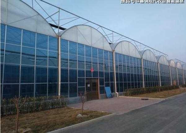 Wind Resistance Polycarbonate Solar Panel Greenhouse