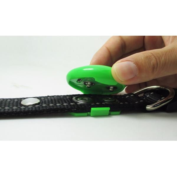 2018 waterproof night safety led light pet dog belt