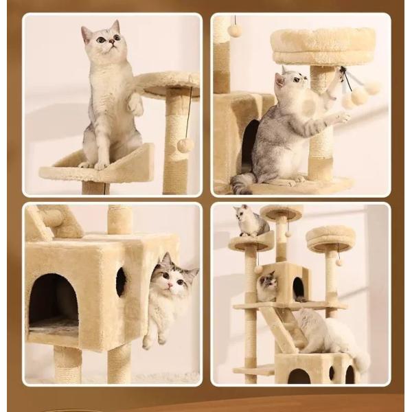 US Currency Large Cat Tree Perfect for Your Furry Companion Shipping Cost Included