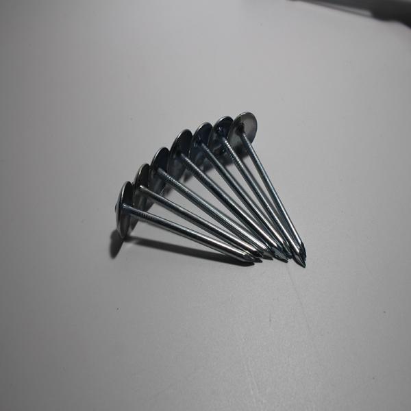 Umbrella Head Roofing Nail