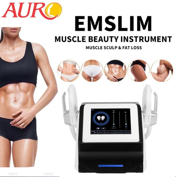 Butt Lift Spa EMS Sculpting Machine 2 Handle Electric Muscle Stimulation Machine