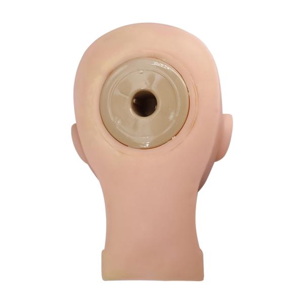 piel suave de la práctica del maquillaje del silicón 3D para el maquillaje permanente del lápiz de ojos, de la ceja y del labio de la escuela de entrenamiento