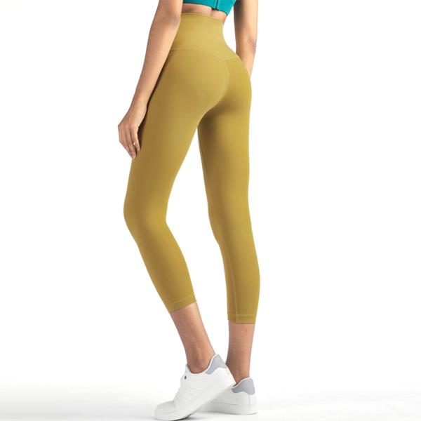 Anti Cellulite Womens Seamless Gym Leggings With Customized Design