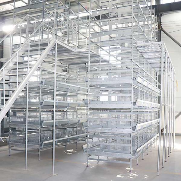 0 - 20kw Layer Chicken Cage 380V Voltage With Temperature Control System