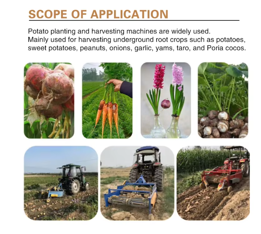 Farm Tractor Pto Mounted Small Sweet Potato Harvester