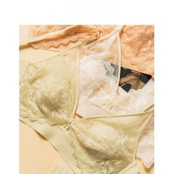 High Quality Cheap Price Seamless Women Bra Lace Design Sexy Wire-Free Adjusted Straps Women Lace Bra Underwear