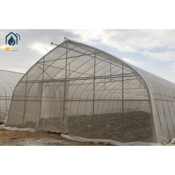 Oval Tube Multi Span Film Greenhouse Arched Commercial Greenhouse Frames