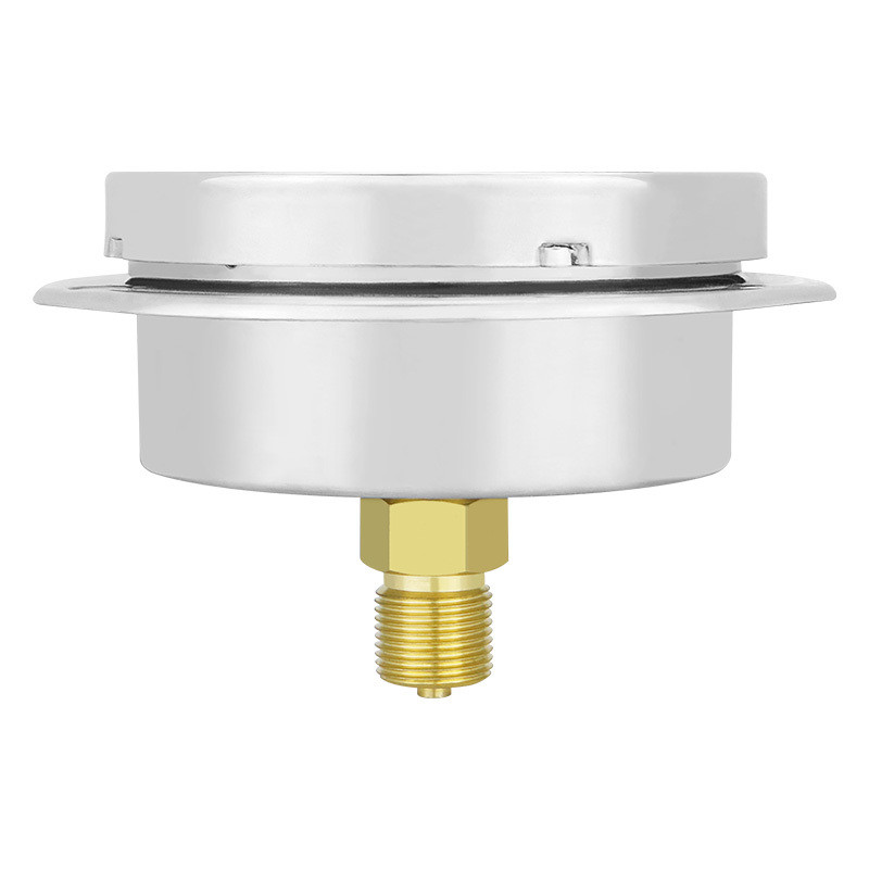 100mm Diaphragm Type 304ss Stainless Steel Back Capsule Pressure Gauge with Flange