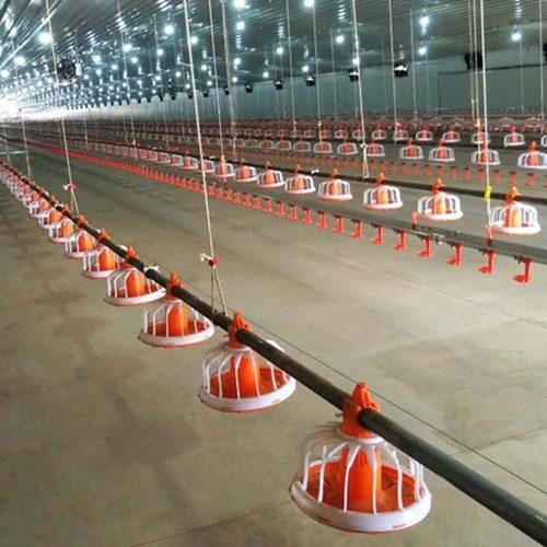 système 0.75kw fermé de l'alimentation dans la volaille