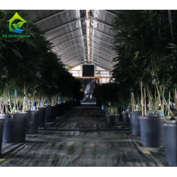 Парник автоматической завальцовки полиэтиленовой пленки парника Dep света светомаскировки электрический