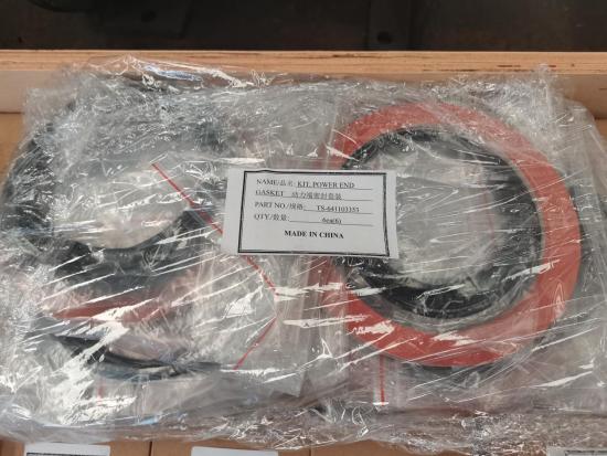 TS-641103353 KIT POWER END GASKET Mission Pump Spare Parts