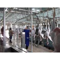 Equipement d'abattage de poulets en acier inoxydable 304 à tension 380V et à entretien facile