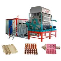 Tipo ovo Tray Machine Pulp Molding Egg Tray Production Line do cilindro