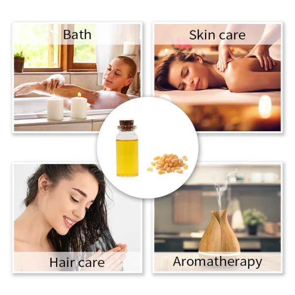 Zingiber Officinale Herbal Essential Oils Ginger Root Essential Oil Hair Care