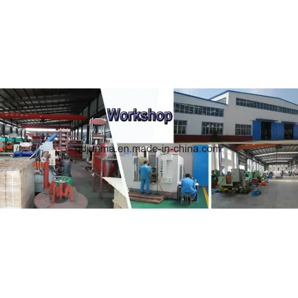 Automatic PLC Control Rubber Hydraulic Molding Machine with Customizable Design for Rubber Vulcanizing Press