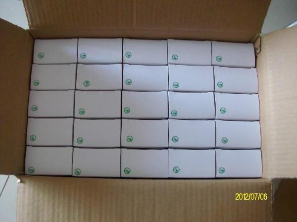 4.2V1A PSE AC ADAPTER,POWER ADAPTER,GEO061a-4210,GFP051U-4210