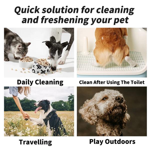 Gel de douche pour animaux de compagnie déodorant à longue durée Shampooing de bain parfumé