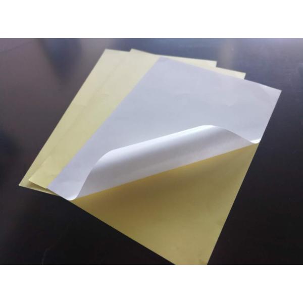 Single Sided Adhesive Rubber Based Glue Sticker Papers with Offered Printing