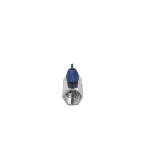 304/316 Stainless Female Thread Steel Mini Ball Valve with Butterfly Handle ISO 9001