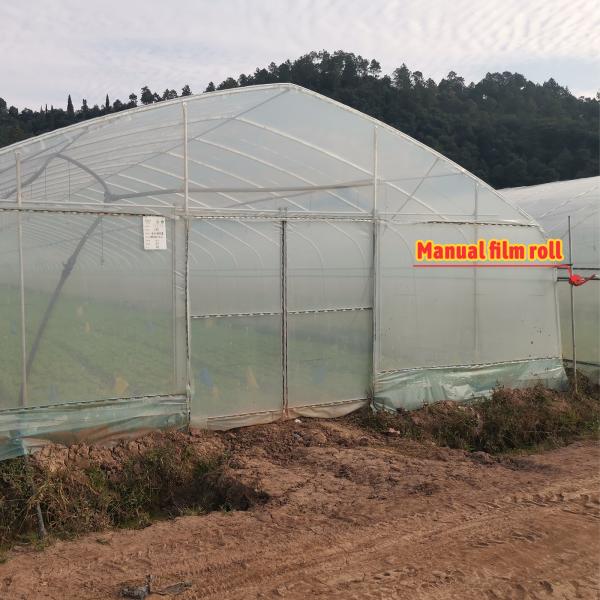 Agricultural Single Span Tunnel Green House Sprinkler Irrigation Lettuce Greenhouse For Farm