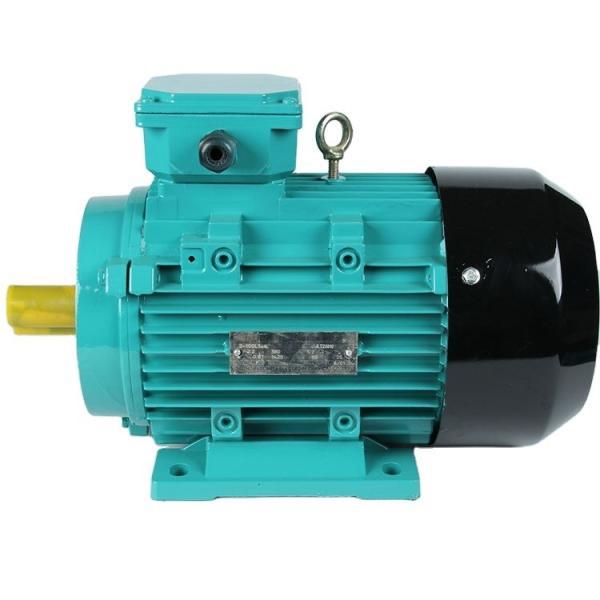 10hp 20 hp 30hp 380v 415v 440v Three Phase AC Induction Motor with and 6.2A Voltage
