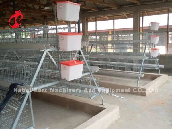 China Export Quality Battery Broiler Chicken Cage Automatic Nigeria Star