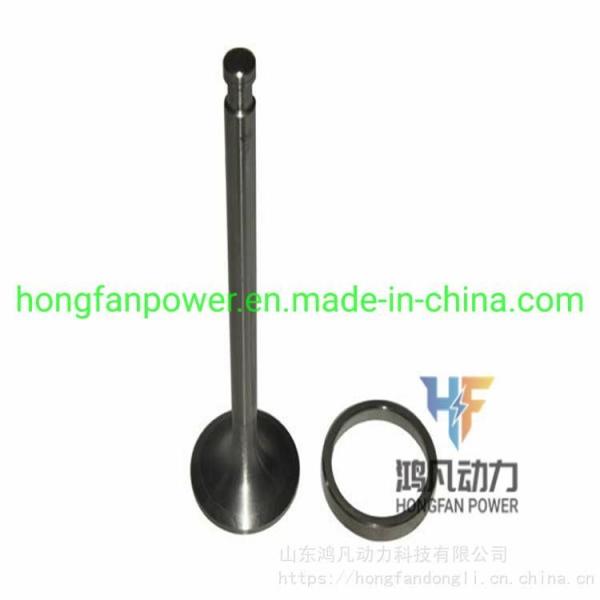 Jichai Chidong 190 Series Engine Parts for Intake Valve and Exhaust Valve 12VB. 03.22
