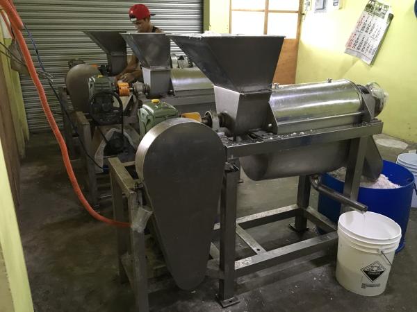 SUS304 1T/H 3T/H Fruit Juicing Machine For Pineapple Peeler