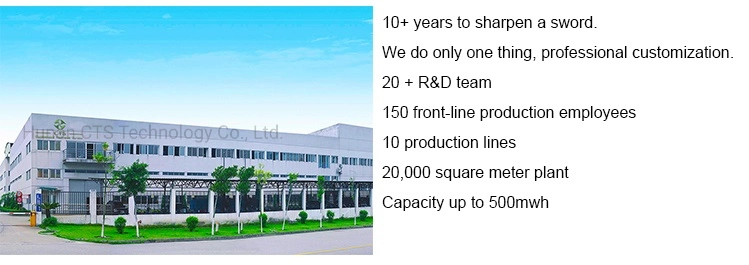 Литий-ионный аккумулятор тележки гольфа LiFePO4 подгонял 36V 48V 60V 72V 50ah 100ah 105ah 150ah
