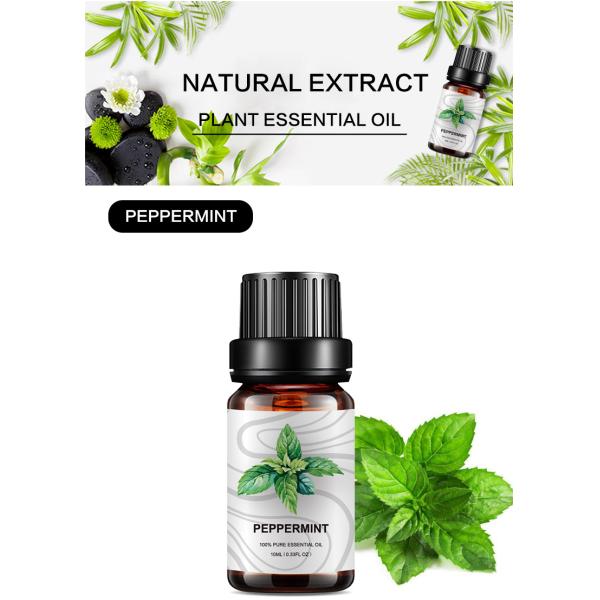 Диффузия масла пипермента эфирного масла пипермента 10ml OEM оптовая 100% естественная