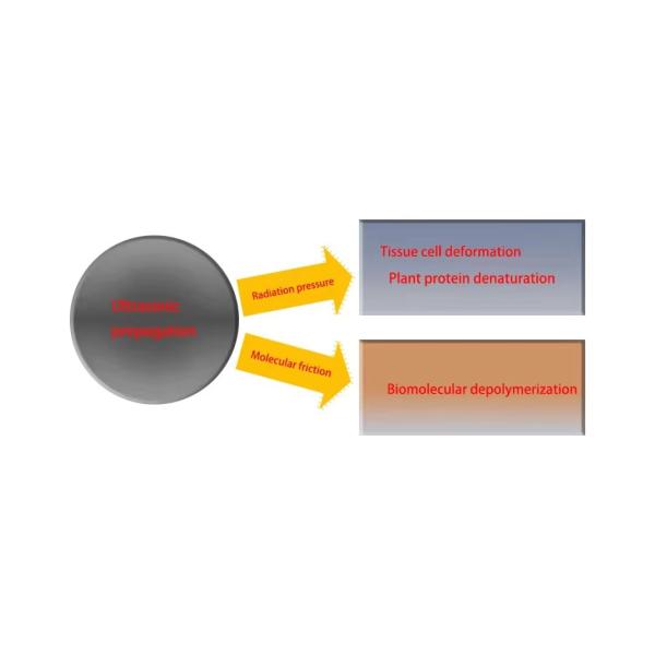 Stainless Steel Essential Oil Extraction Machine for Industrial and Extraction