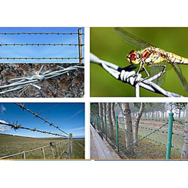 Zinc Plating Barbed Tape Wire , Steel Barbed Wire Roll 1.0-3.5mm Dia