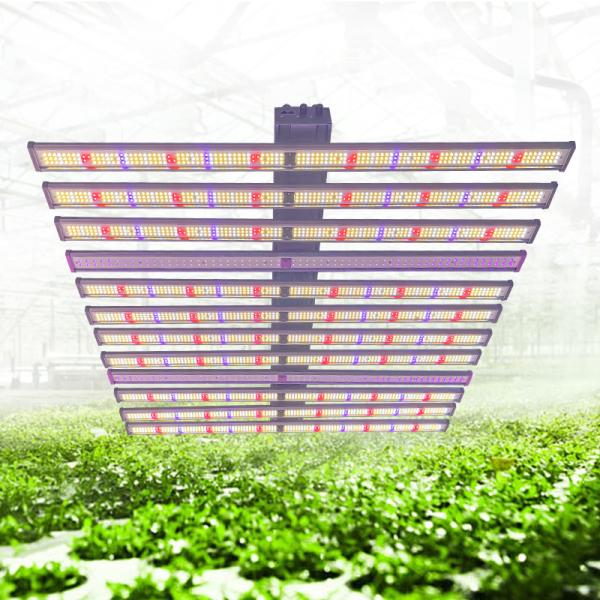 1200W Dimmable Adjustable LED Grow Lights For Indoor Greenhouse