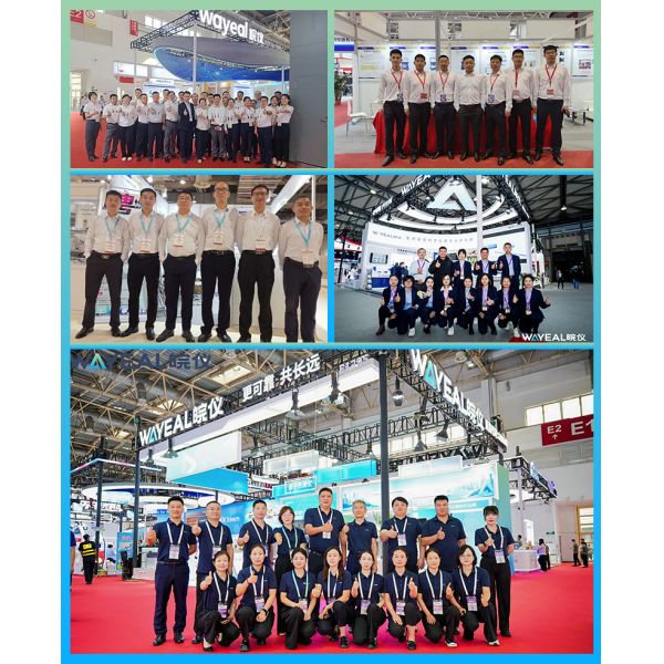 Anhui Wanyi Science and Technology Co., Ltd.