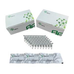 Facile à utiliser, kit d'amplification isotherme stable, pas d'appareil PCR co