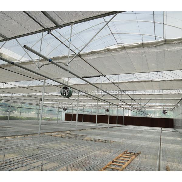 200 Micron Plastic Film Greenhouse Shade Cloth Roof Height 7 Meters for Strawberry