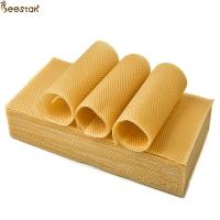 A fundação natural da cera de abelha do favo de mel cobre C orgânico para fazer a vela