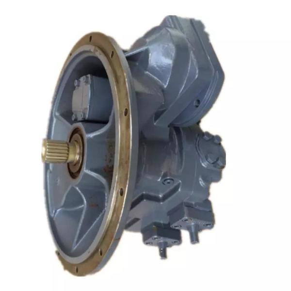 Uchida Rexroth Hydraulic Piston Pump A8VO55 A8VO80 A8VO160 A8VO200 A8VO107 R909423518 A8VO80SR/61R1-NZG05F011