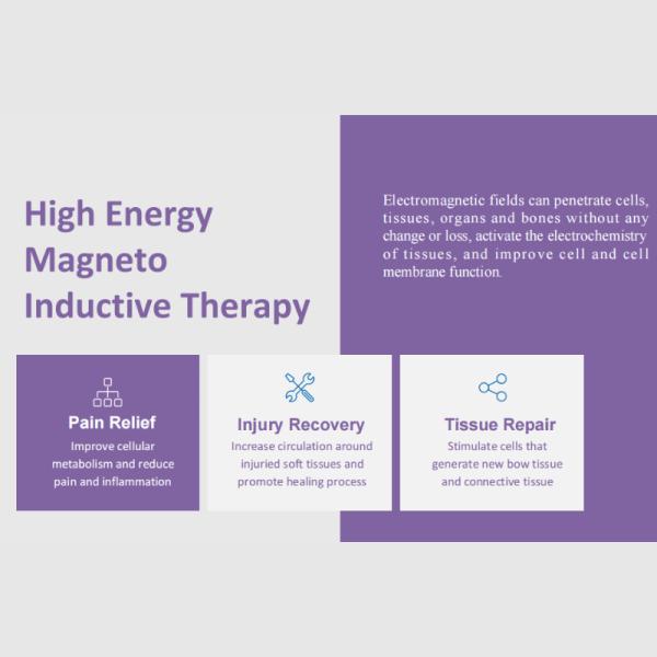 Thérapie par magnétothérapie pulsée professionnelle avec système PMST à double applicateur laser infrarouge proche en option avec stimulation magnétique à haute énergie