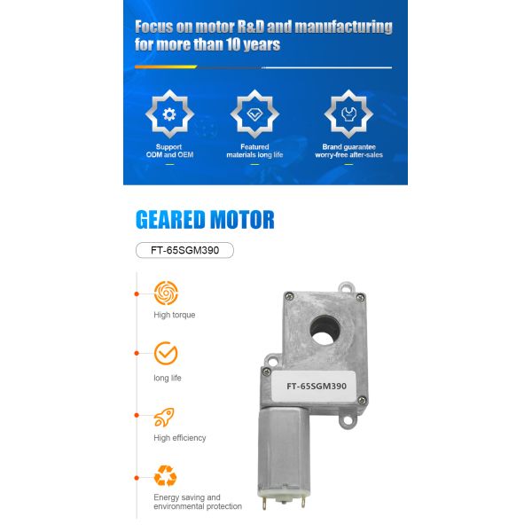 FT-65SGM390 Worm Geared Motor 24V 12V DC Gear Motor for Intelligence Door Lock
